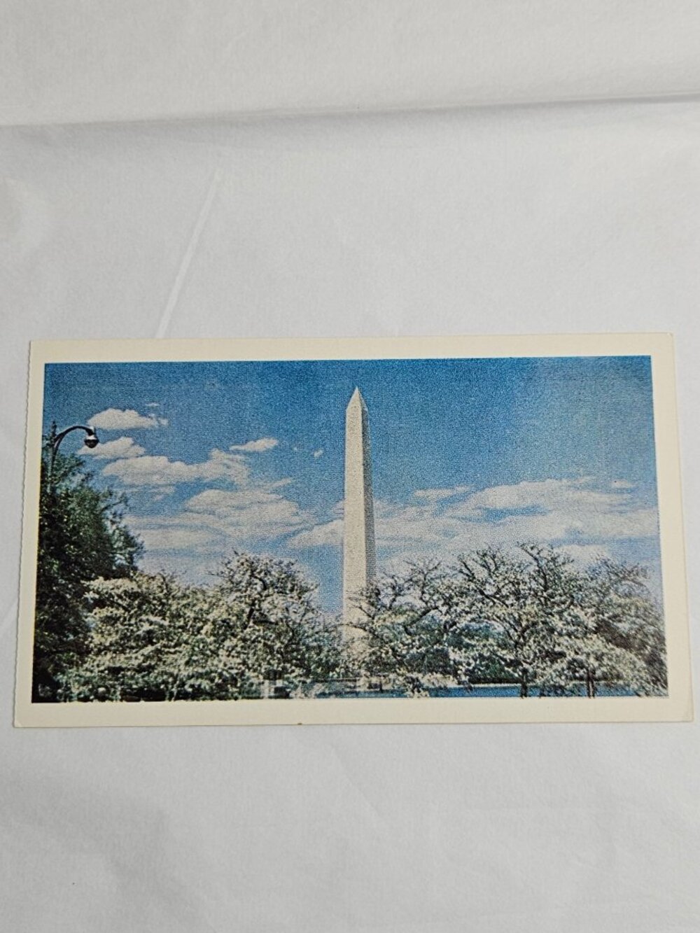 Washington Monument Washington D.C. Postcard